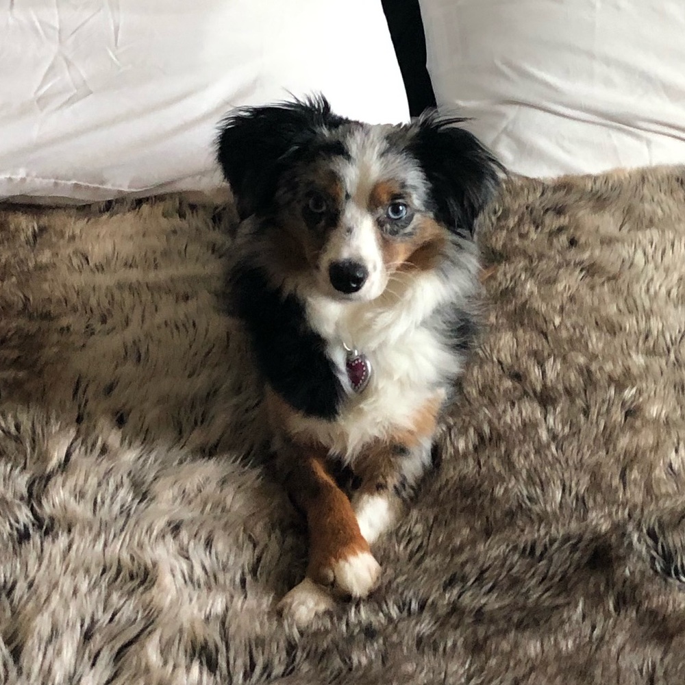 Meet your Posher, Sandra